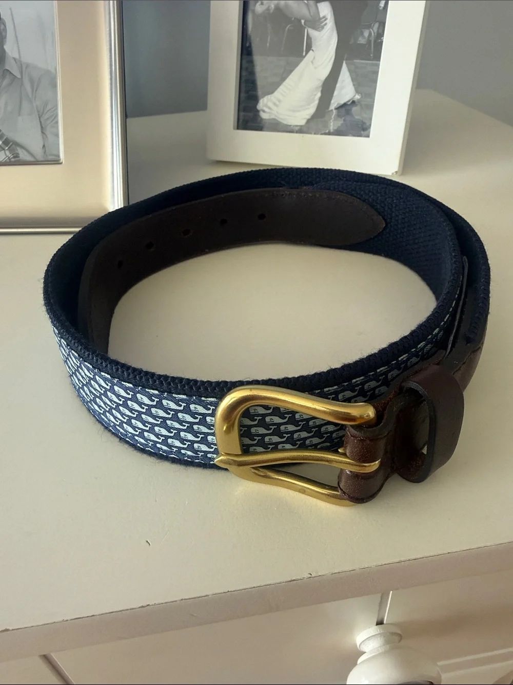Vineyard Vines Navy and Brown Woven Belt with Gold Buckle and whale print